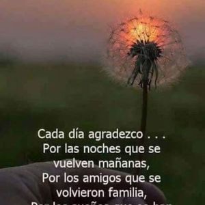 Meet your Posher, Claribel